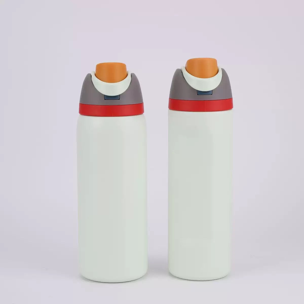 Insulated Stainless Steel Water Bottle with Straw