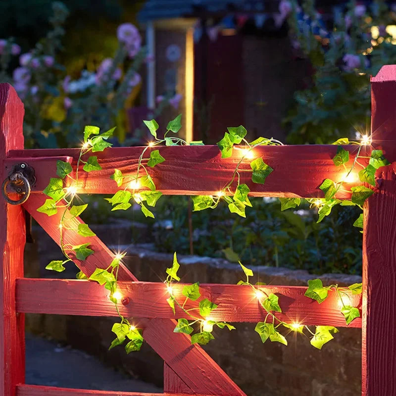 Fairy Vine Lights
