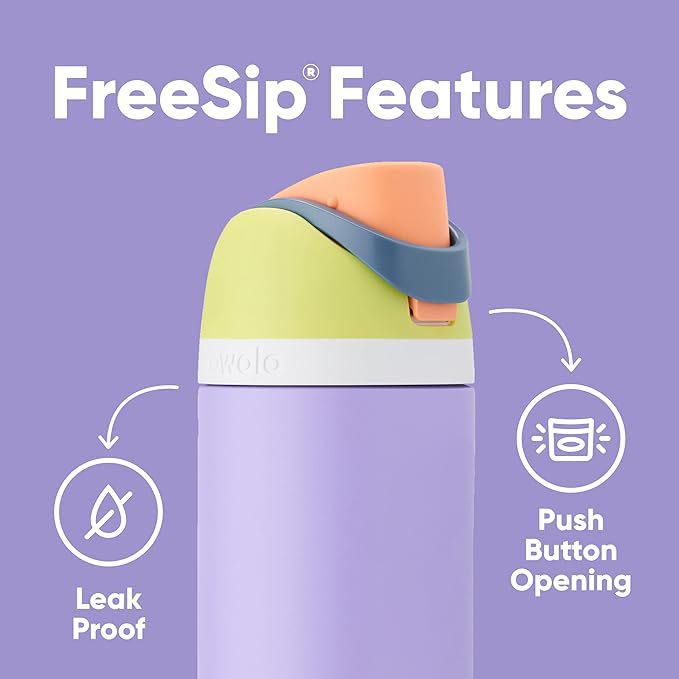 Insulated Stainless Steel Water Bottle with Straw