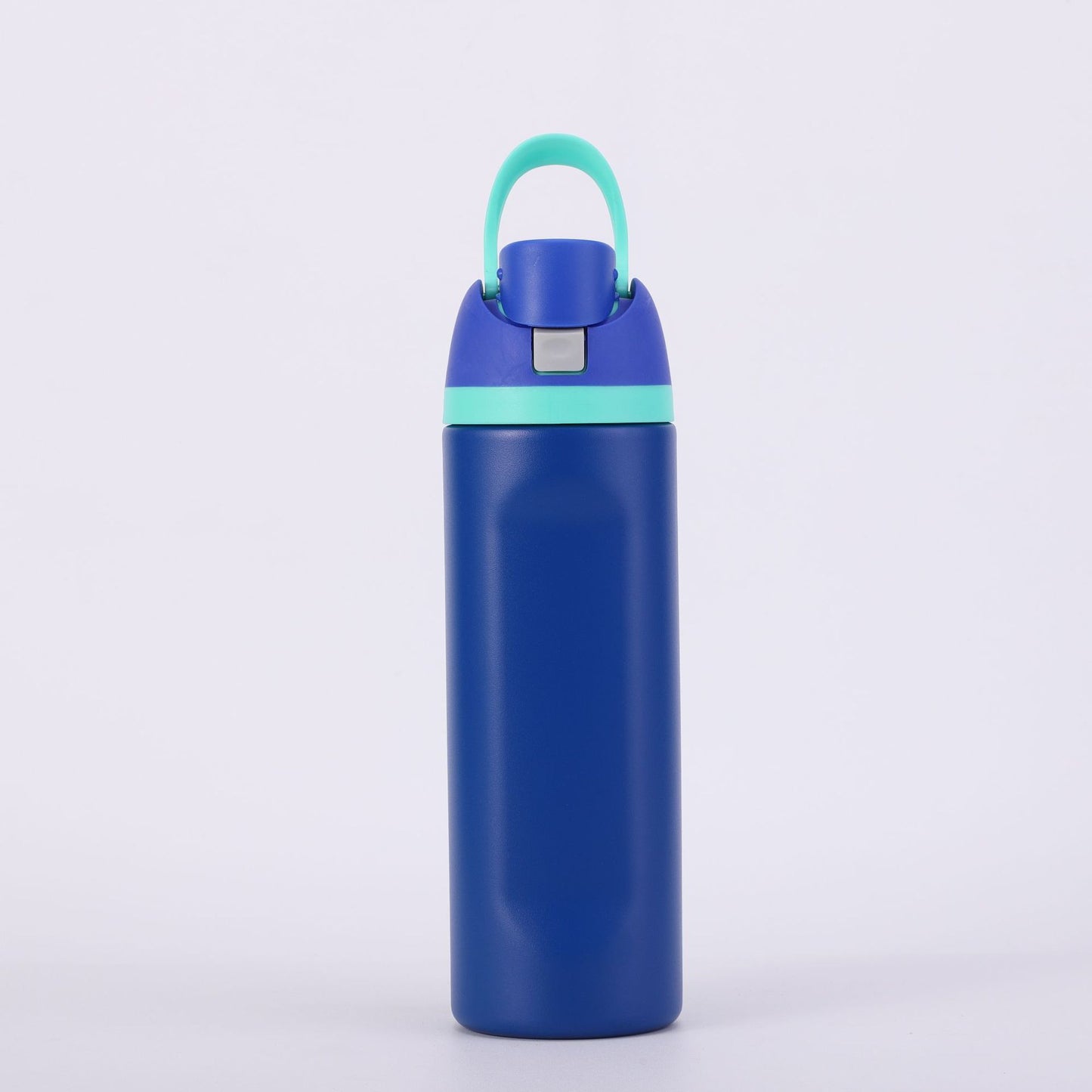 Insulated Stainless Steel Water Bottle with Straw